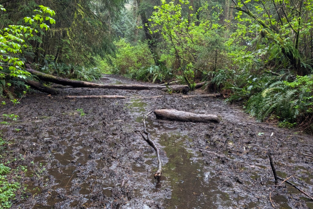 muddy trail to beach