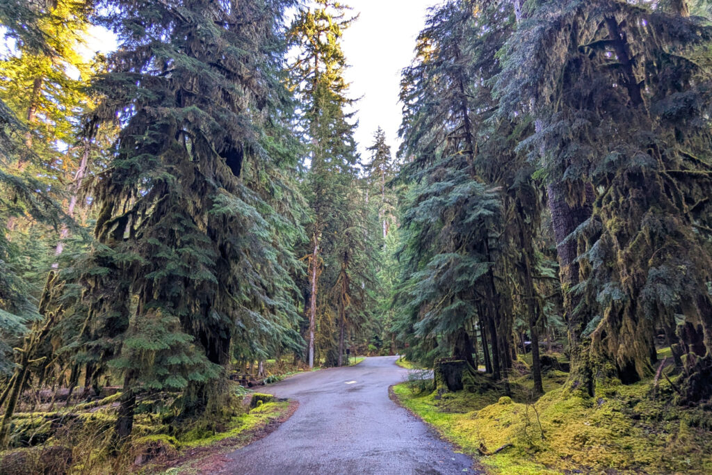road to campground