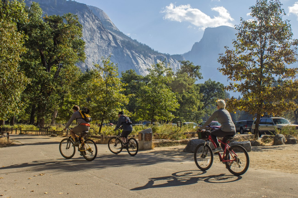 people riding bikes in Yosemite Valley