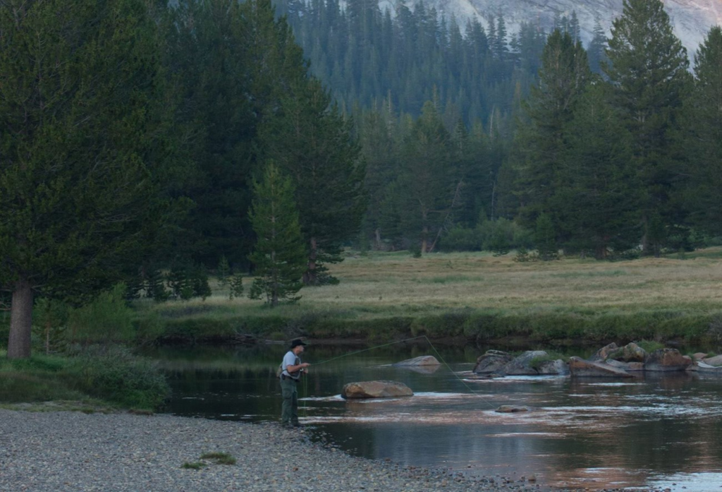 man fishing on banks of river
