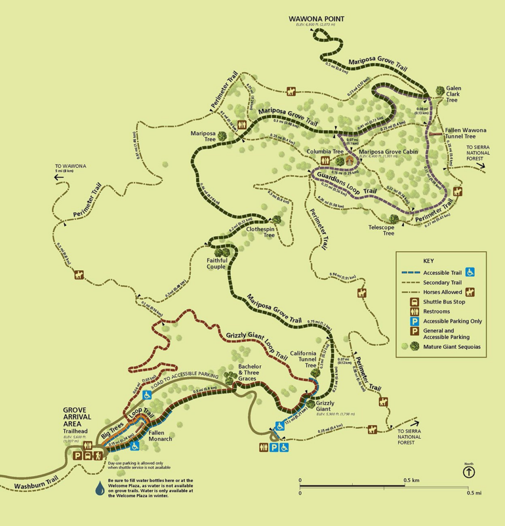 map showing hiking trails in Mariposa Grove in Yosemite