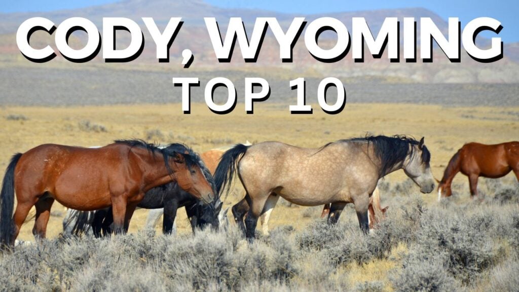 10 best things to do in Cody thumbnail
