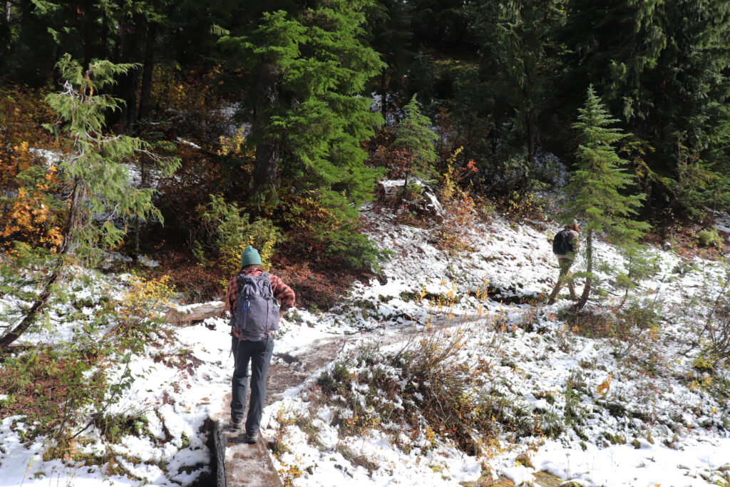 people hiking through snow in Mount Rainier