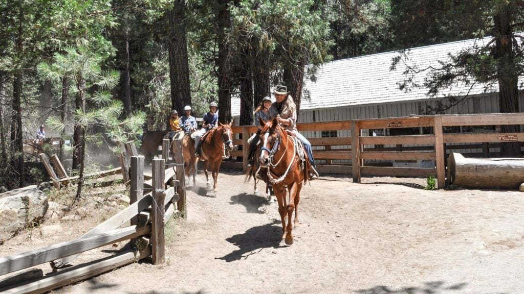 people riding on horseback in Yosemite