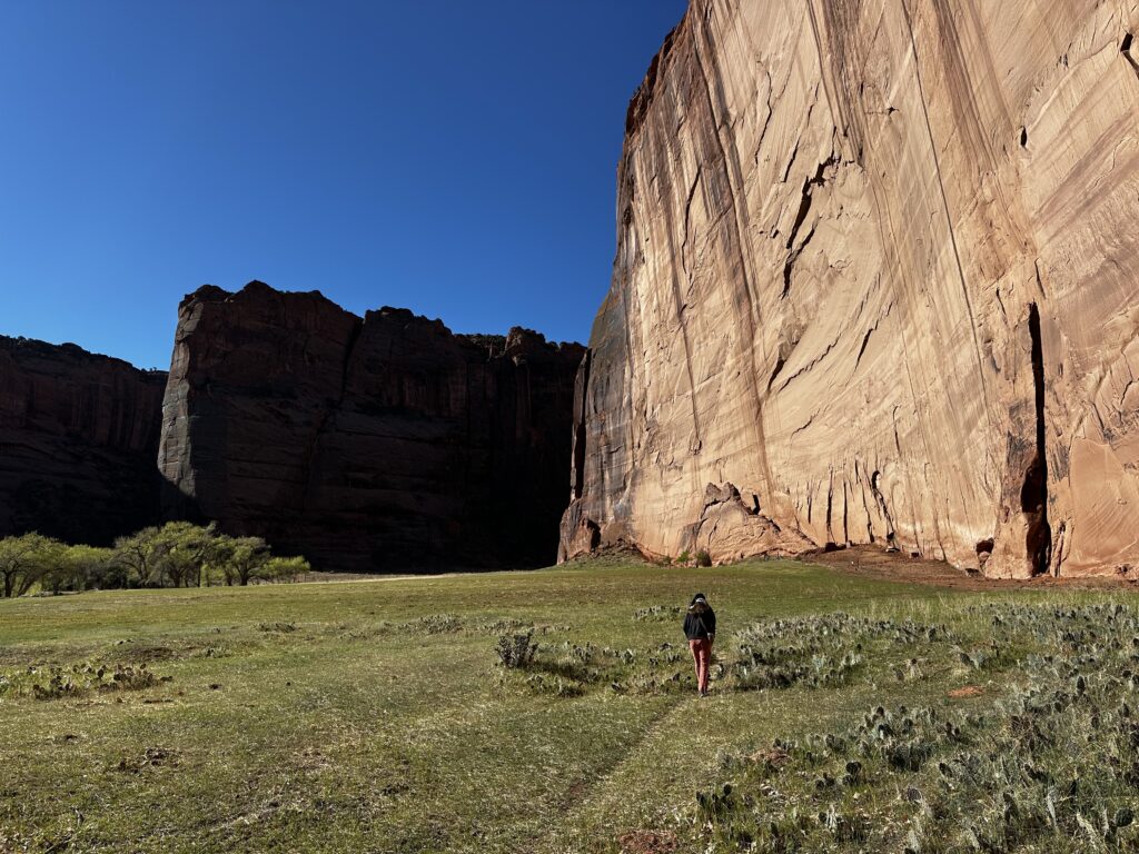 Woman walking through a grassy meadow at the bottom of a canyon with a 700 ft red rock wall in the backgroun