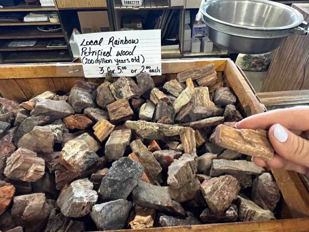 Bin of petrified wood for sale, small pieces