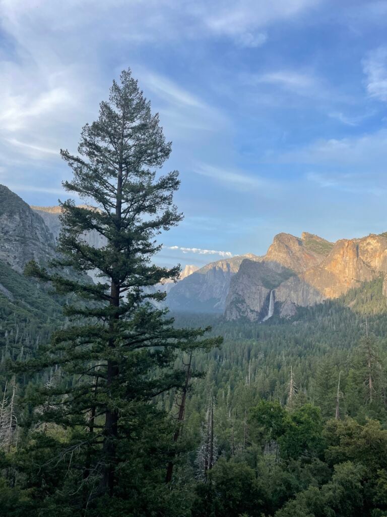 view of mountains, trees, and waterfall