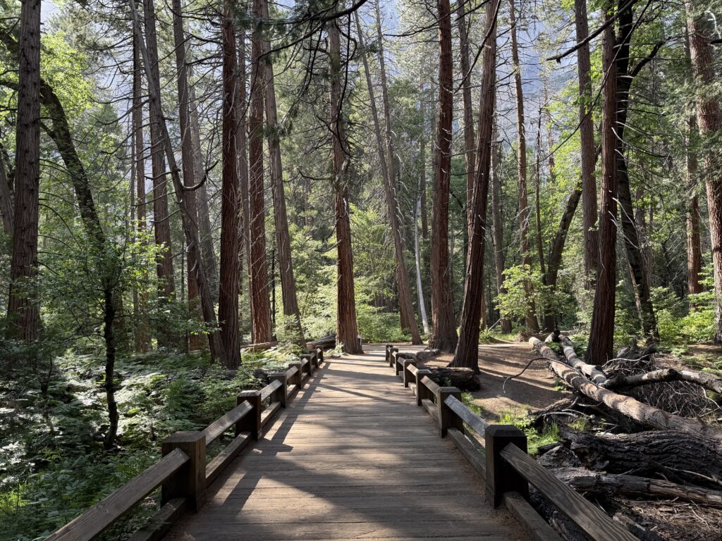 boardwalk hiking trail