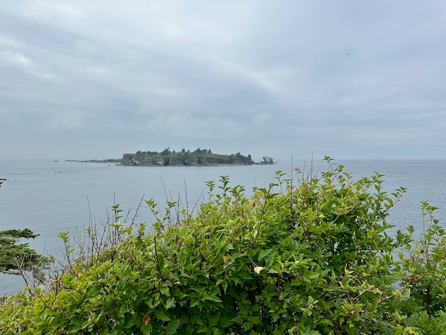 view of island in ocean