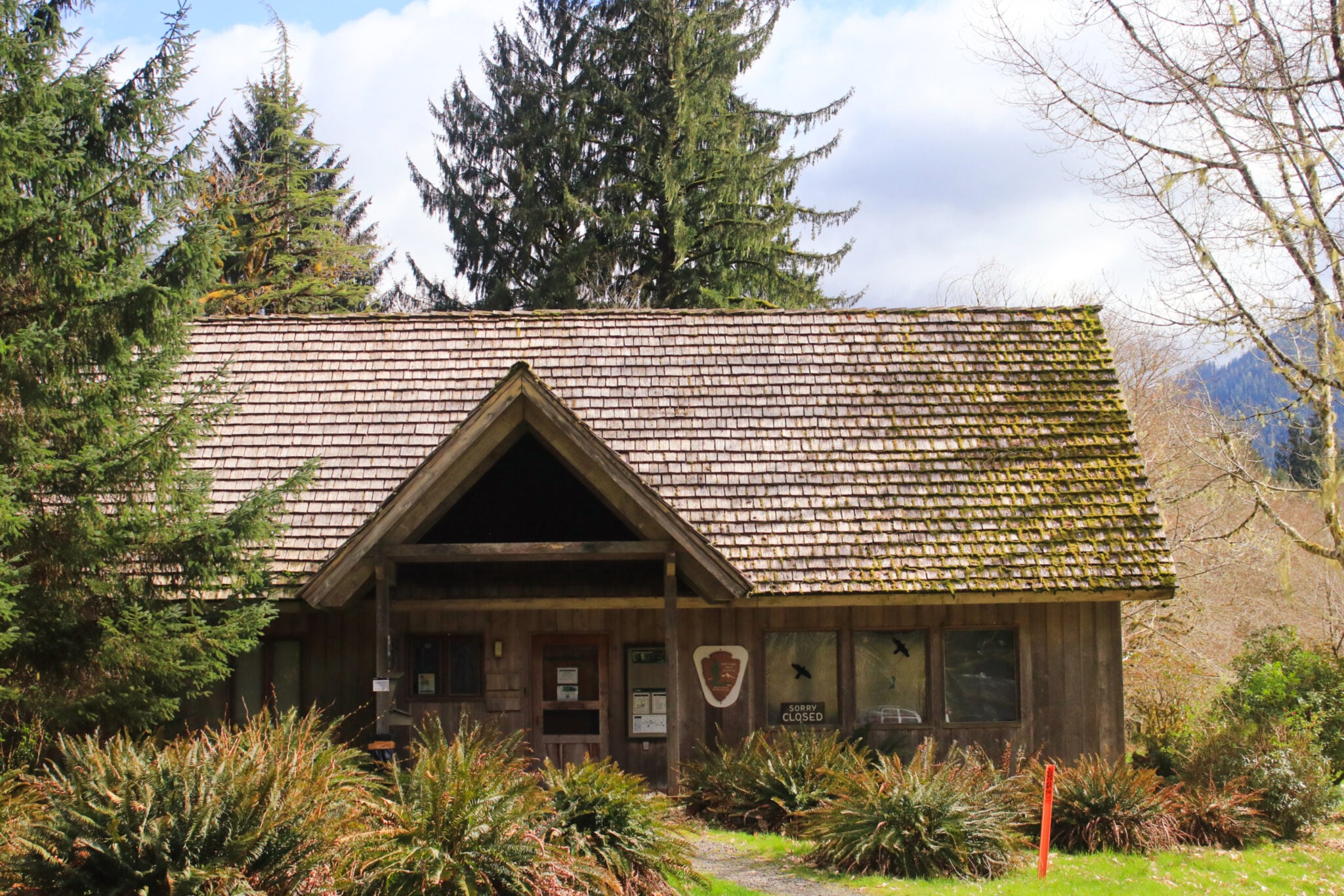 How To Visit Lake Quinault In Olympic National Park We re In The Rockies how-to-visit-lake-quinault-in-olympic-national-park-we-re-in-the-rockies