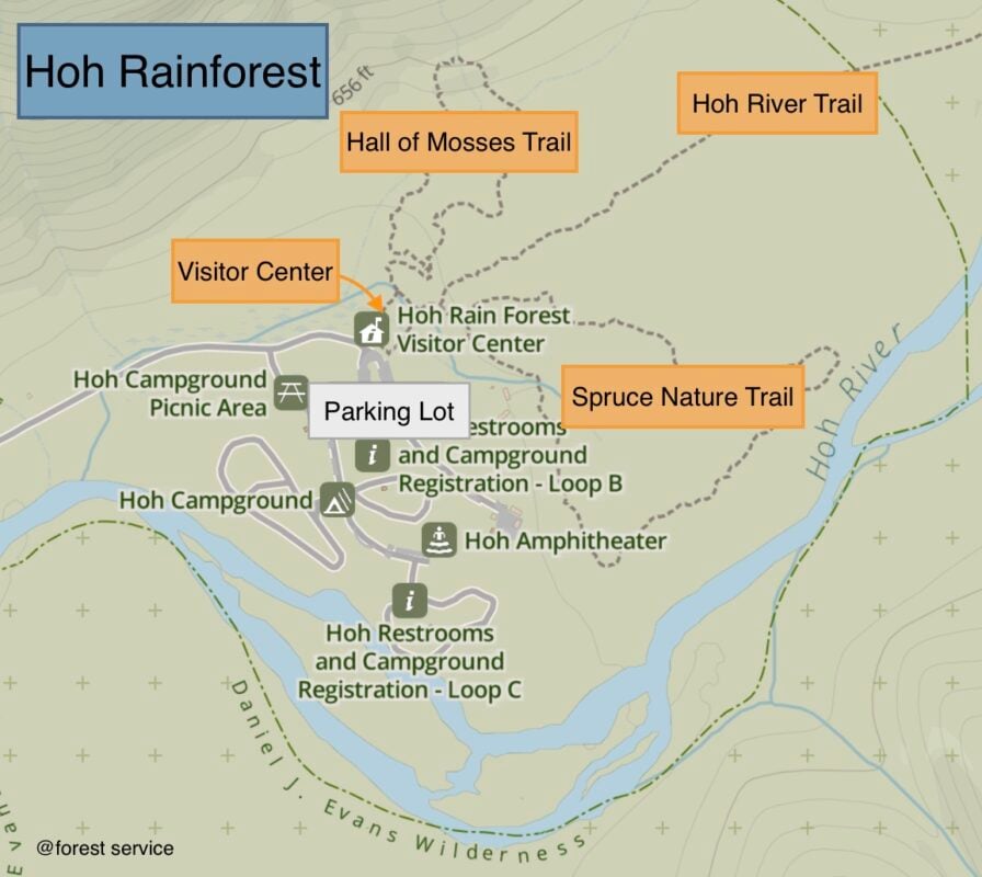 7 Must Do Things In Hoh Rain Forest Dining Lodging Hoh Rainforest 896x800 