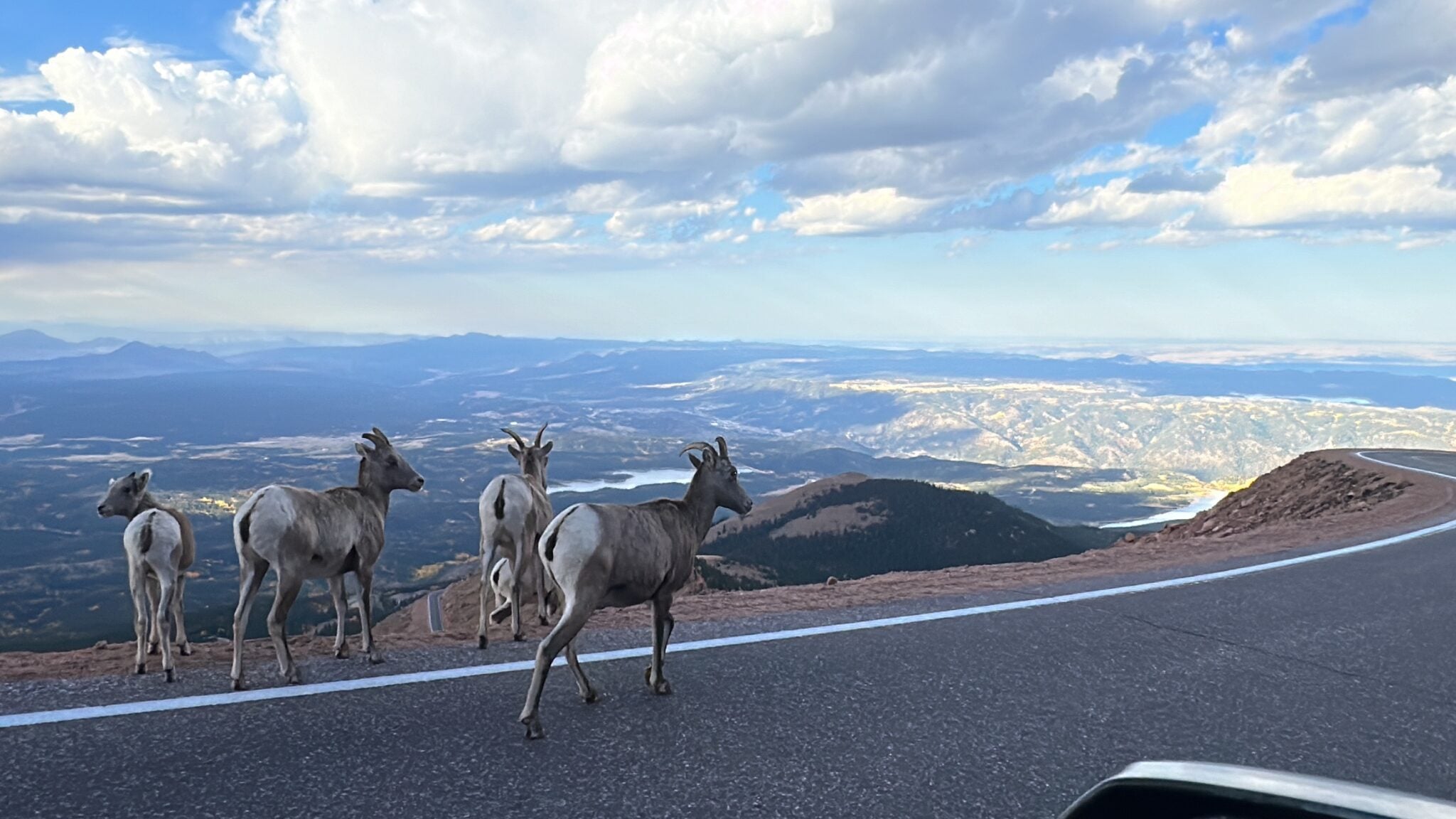 Riding the Pikes Peak Cog Train: What to Know