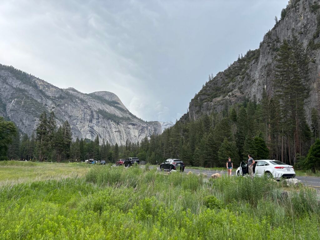 cars parked on side of road next to meadow
