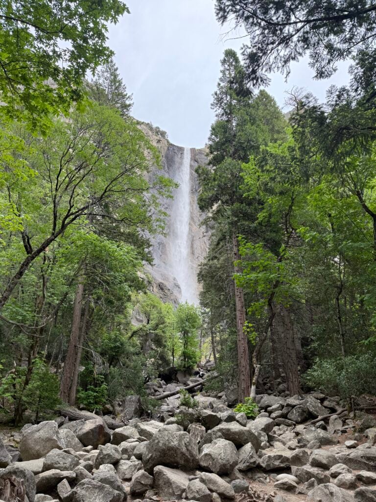 Really tall waterfall with trees infront of it