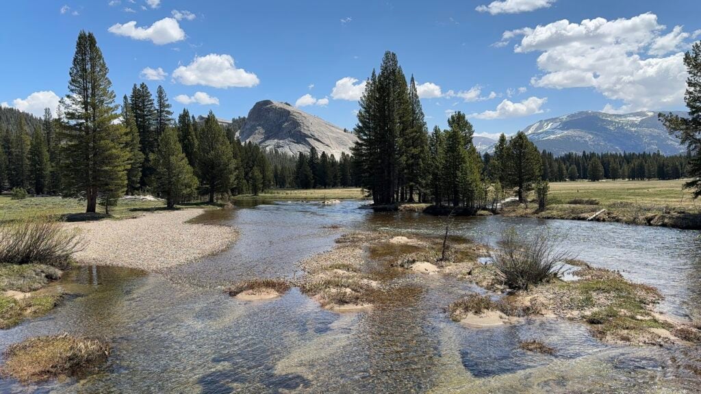 slow moving river through meadow