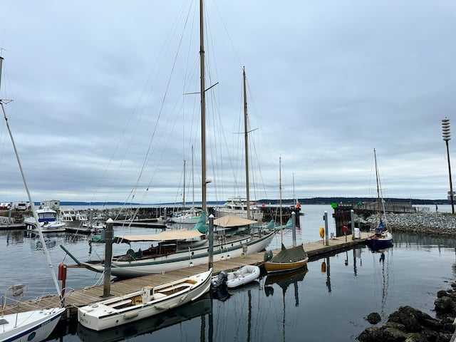 docked boats