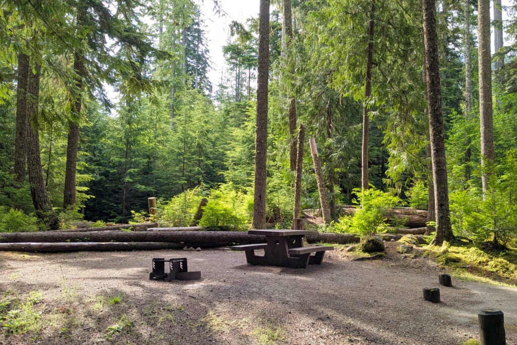 picnic table and fire ring at campsite