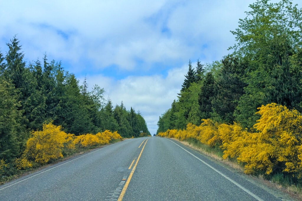 highway in Olympic National park