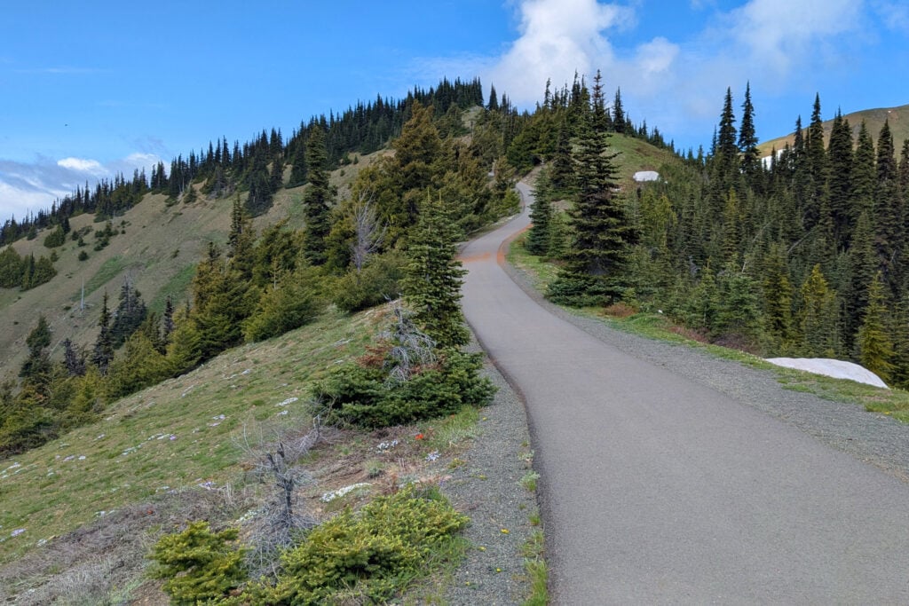 paved hiking trail at top of hill