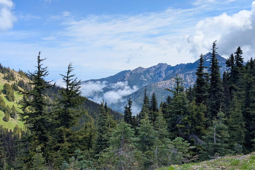 mountain view
