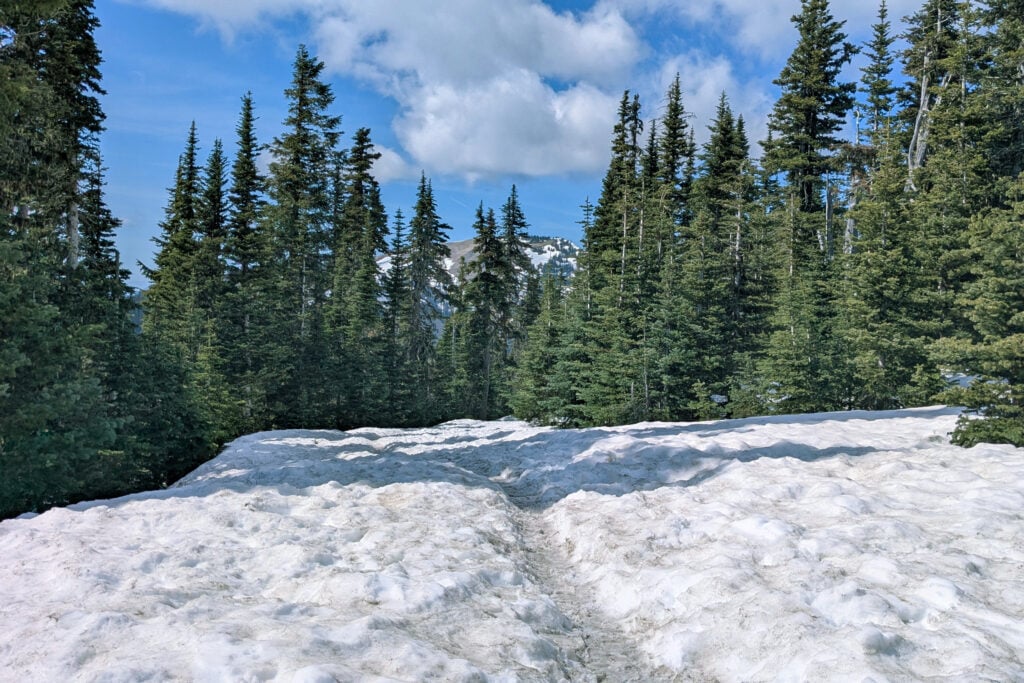 snow on mountains among trees