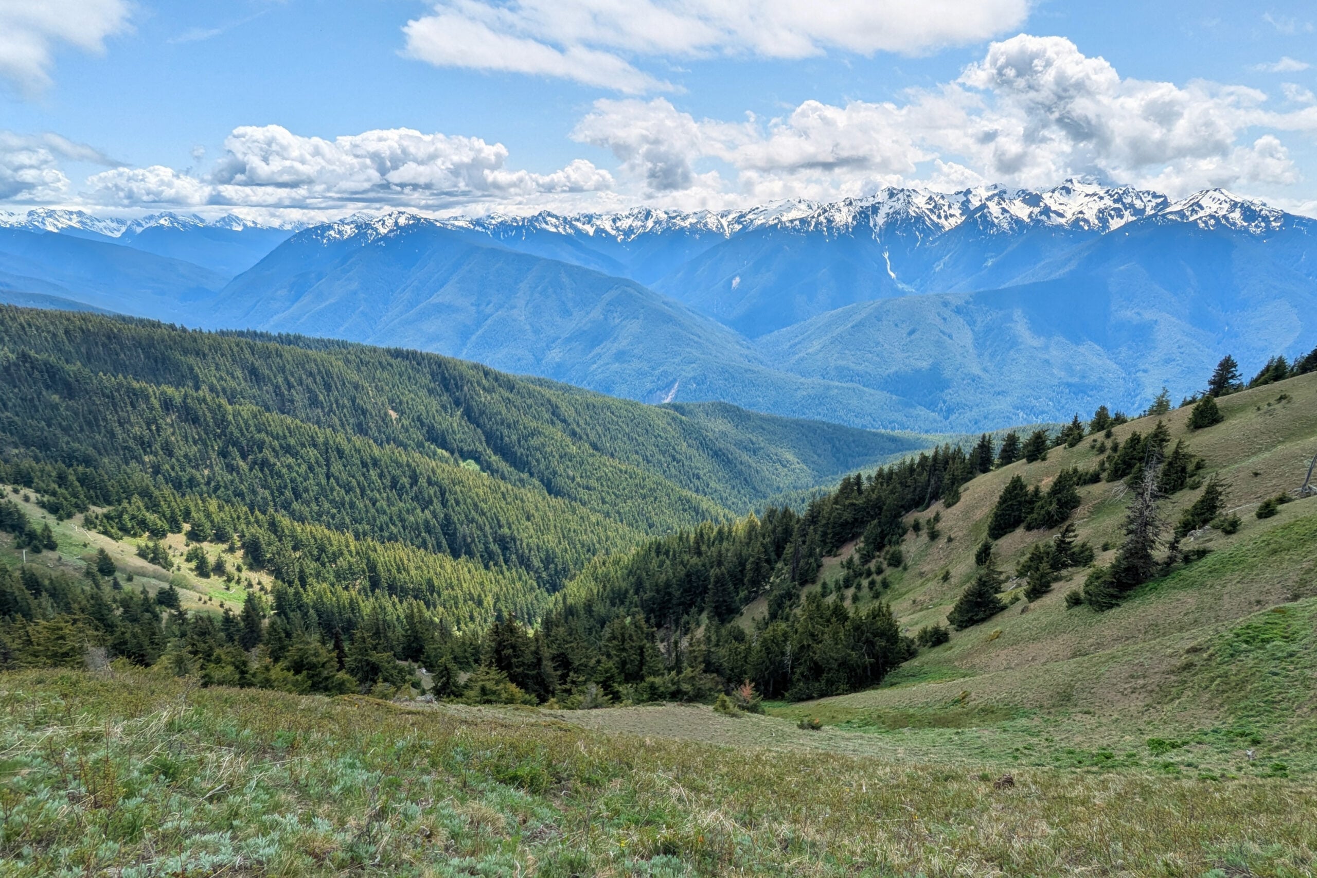 One Perfect Day at Hurricane Ridge Olympic NP - wereintherockies