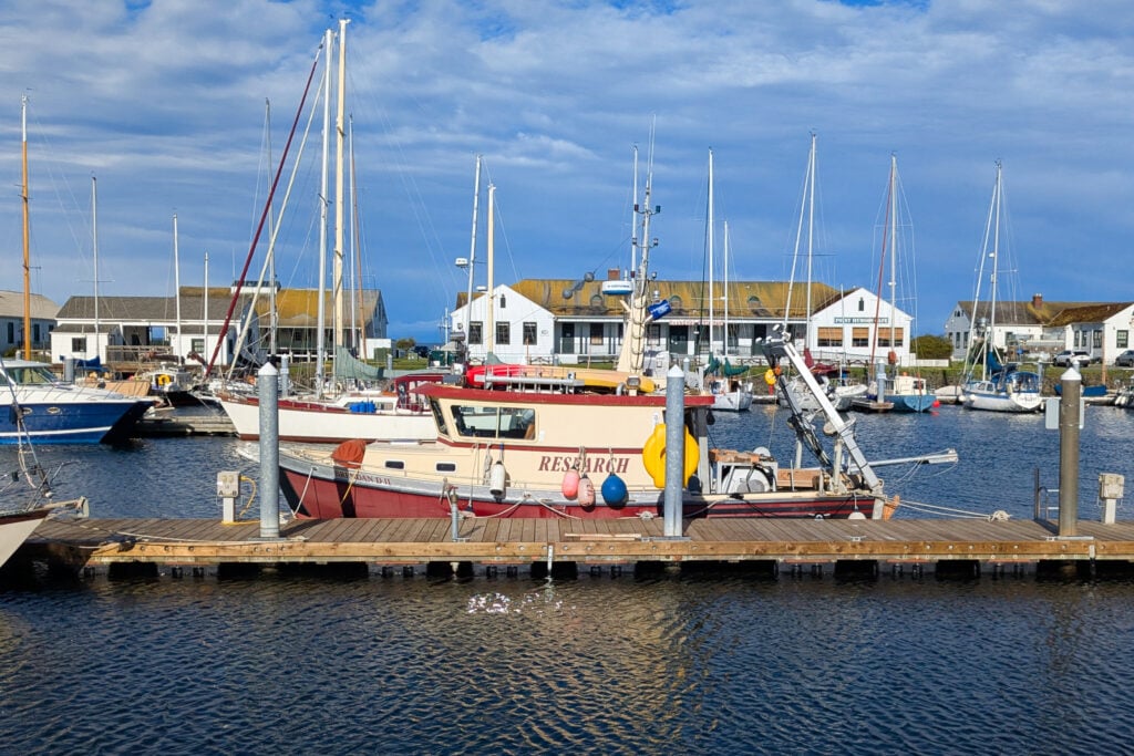 boats docked in marina
