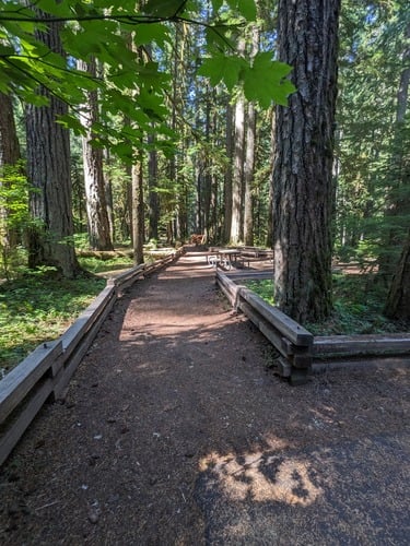 picnic tables