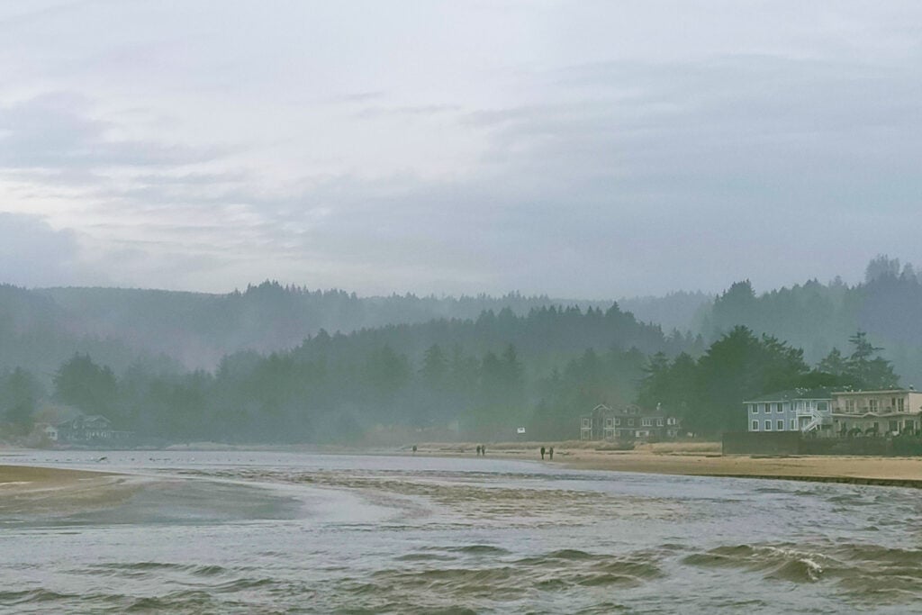 view of beach in the fog with homes and forest