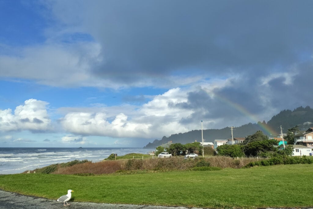 view along coastline