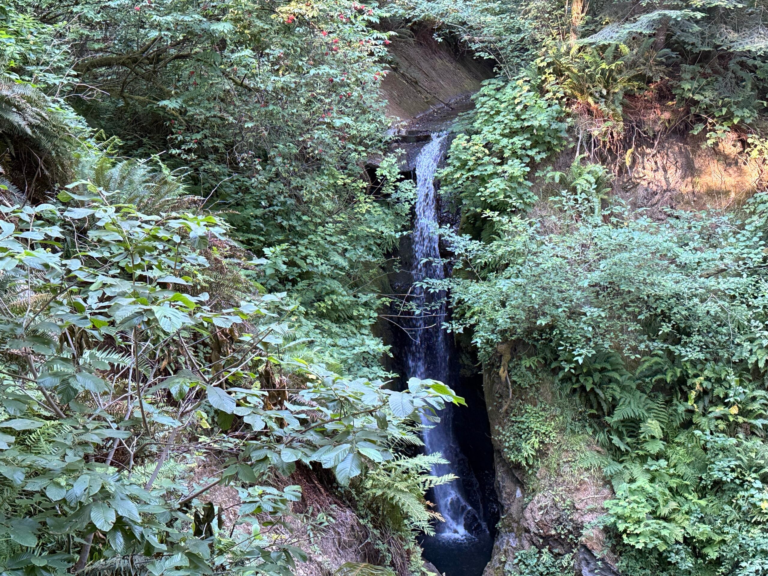 waterfall on beach
