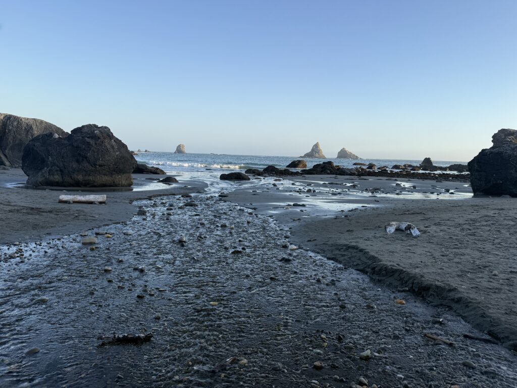 sea stacks on beach