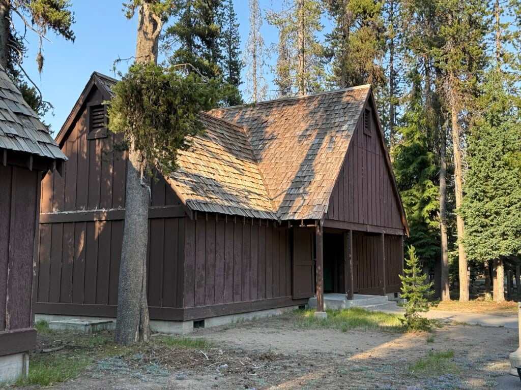 Old fourplex made of wood with pine trees surrounding it