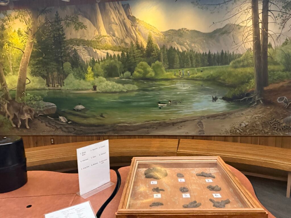 A mural of a river with trees and mountains with a table in front