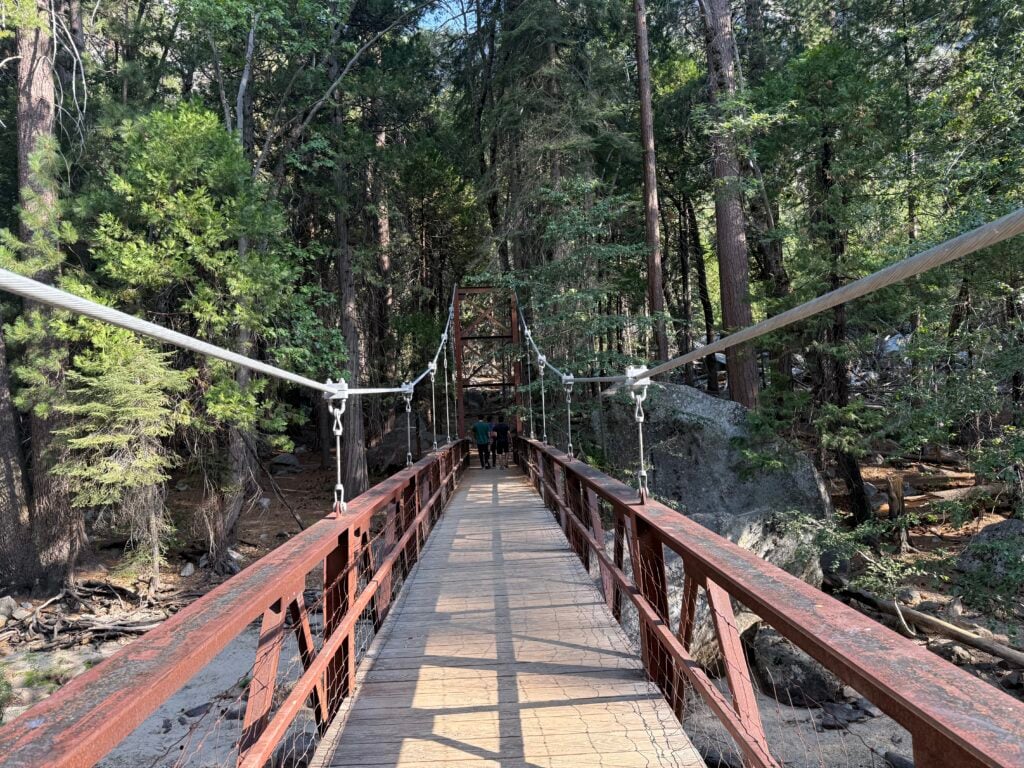 A trail on a suspension bridge leading into a forest