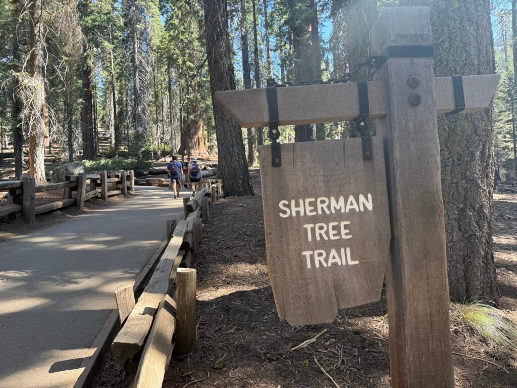 Paved hiking path with people on going through trees