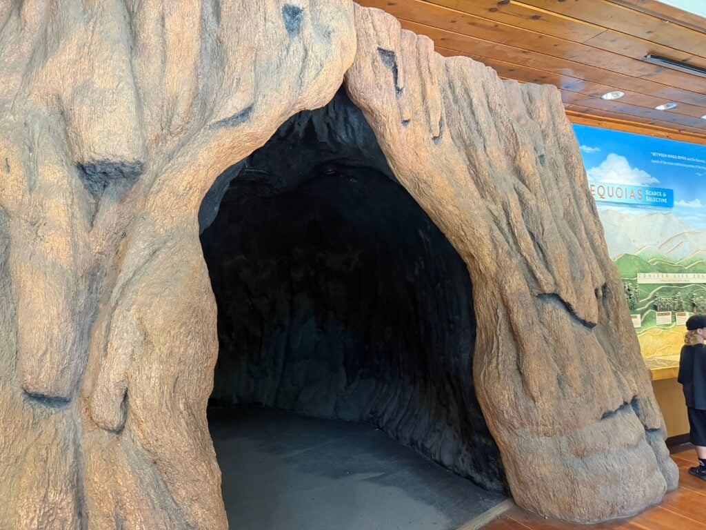 Replicated trunk of a sequoia that you can climb in