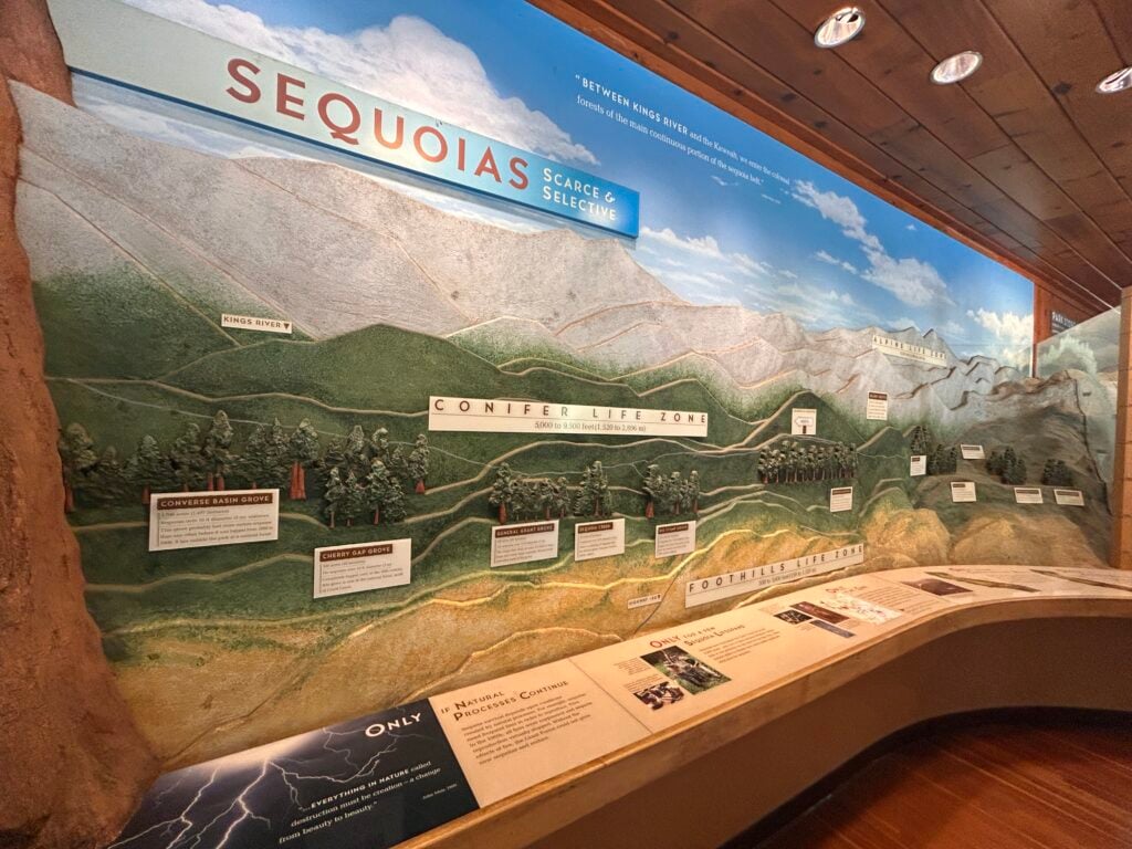 Display at a visitor center