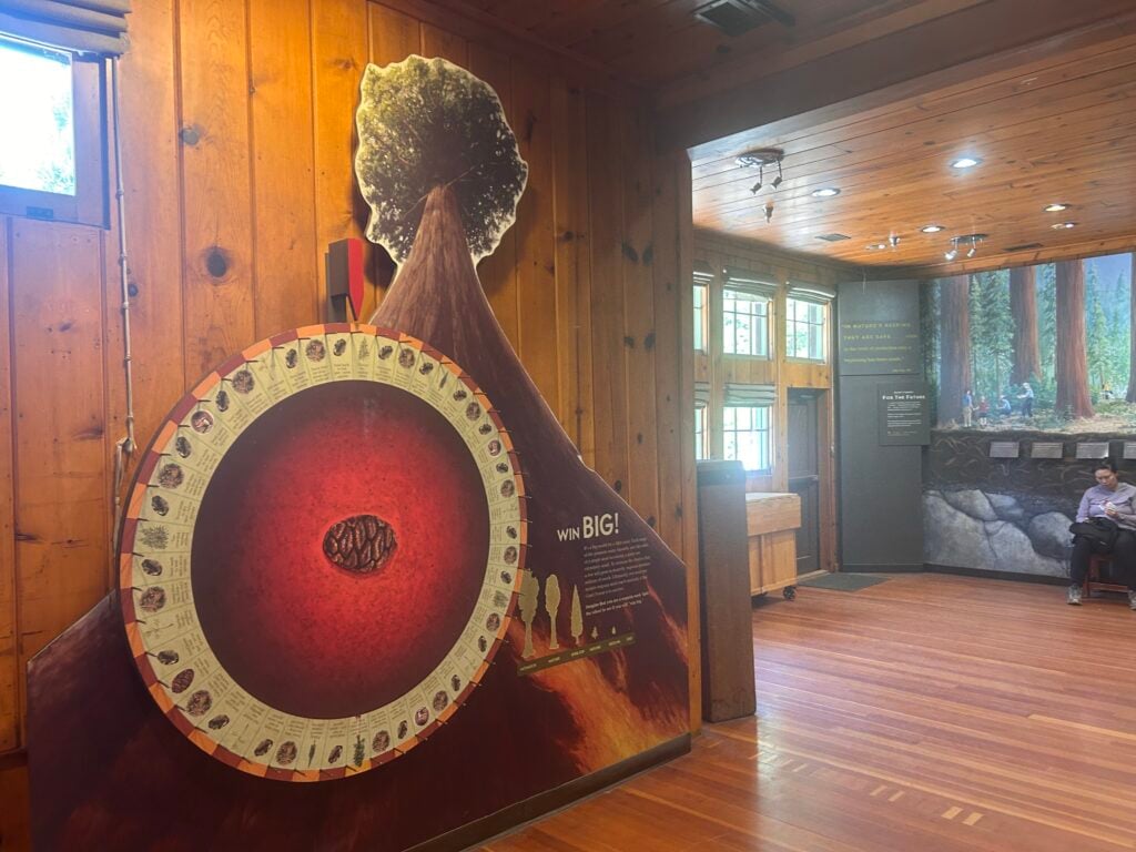 A giant wooden wheel you can spin that has pictures of pinecones on it