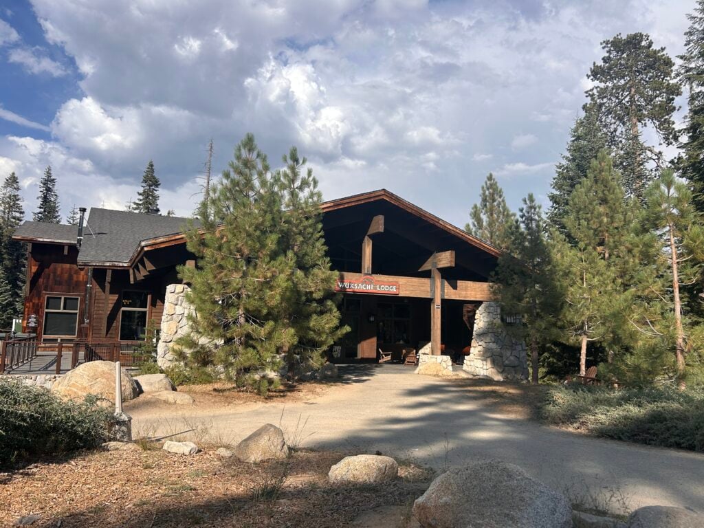 Large wooden and stone lodge surrounded by pine tree