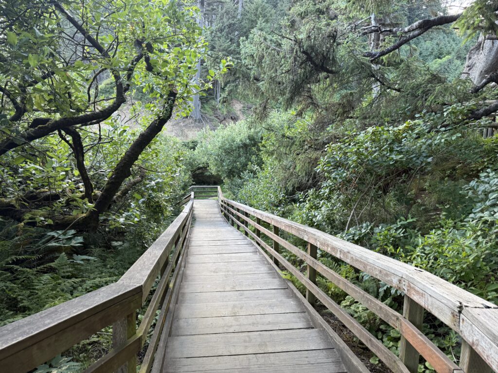 boardwalk bridge trail