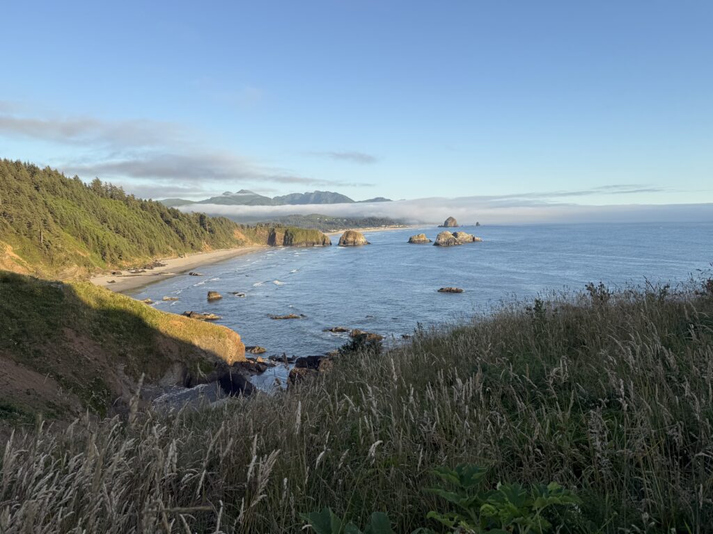 view of beach