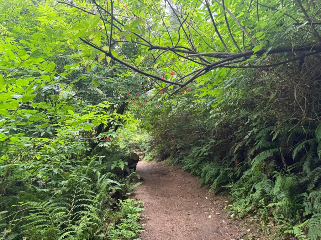 hiking trail
