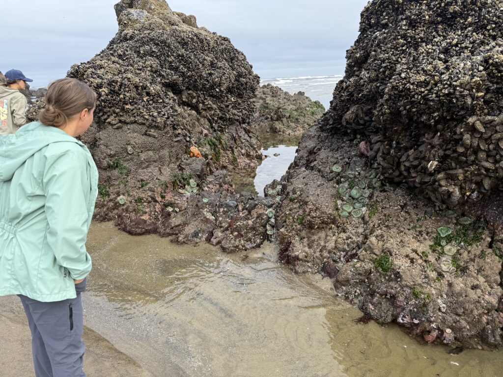 woman looking at tidepools on beach