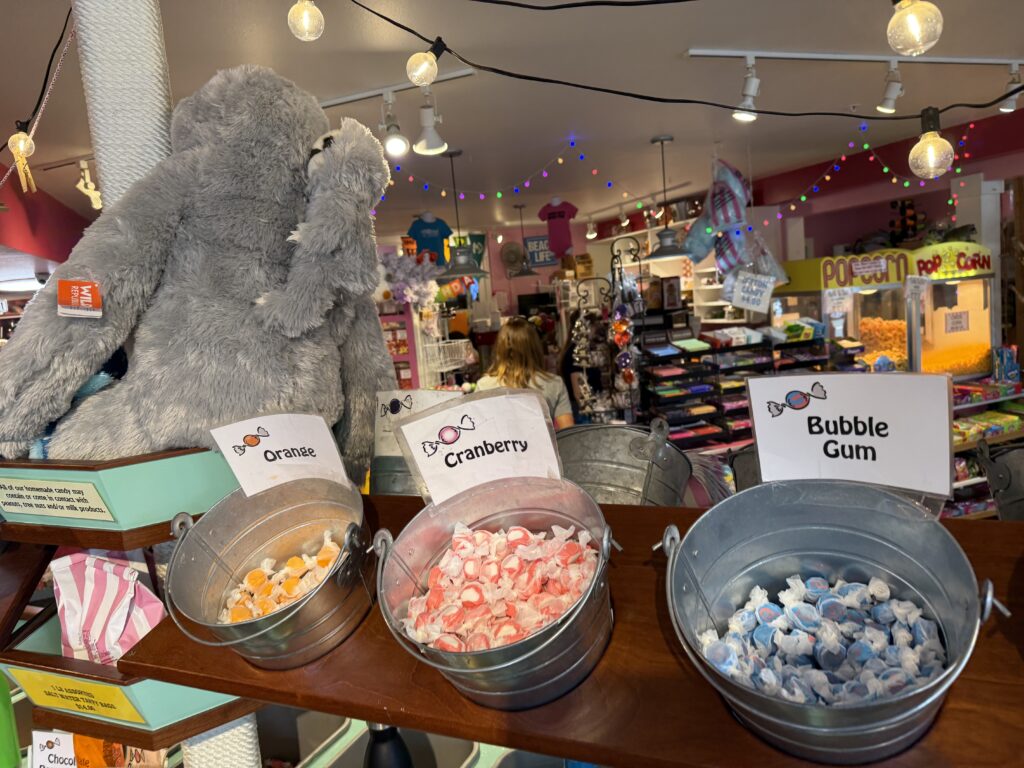 saltwater taffy in metal buckets in candy store