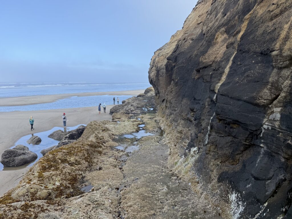 people walking along beach near cliff