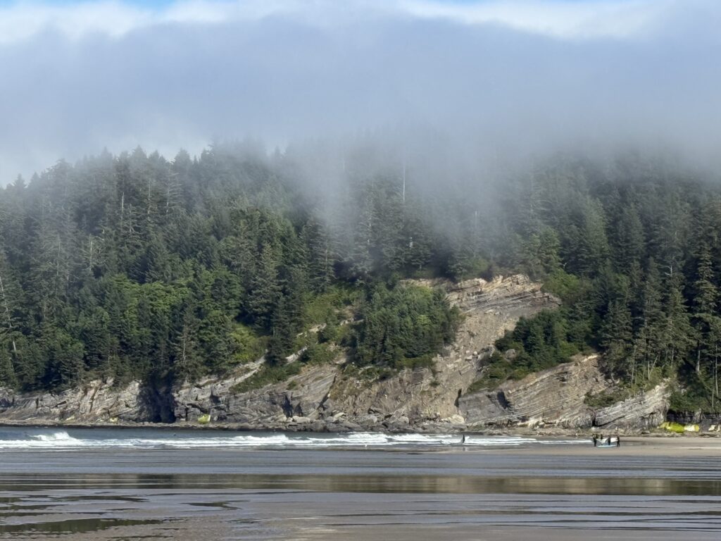 forested hill near beachfront