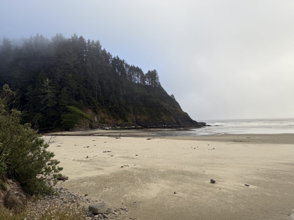 foggy beach with cliffs
