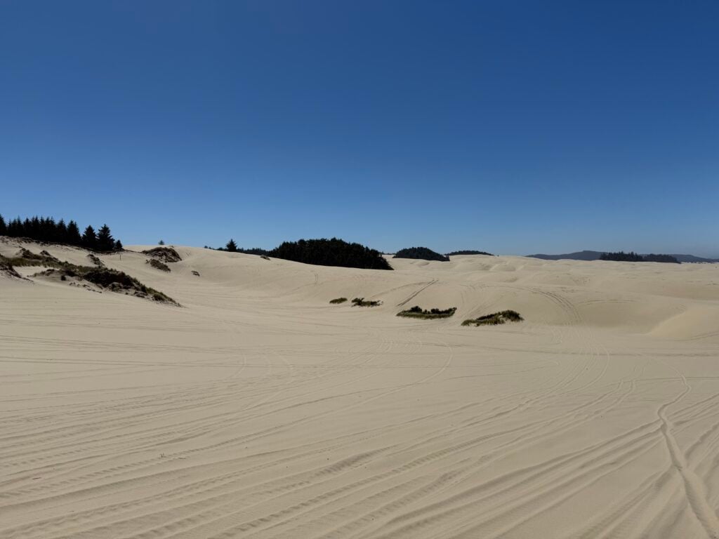 Oregon Dunes
