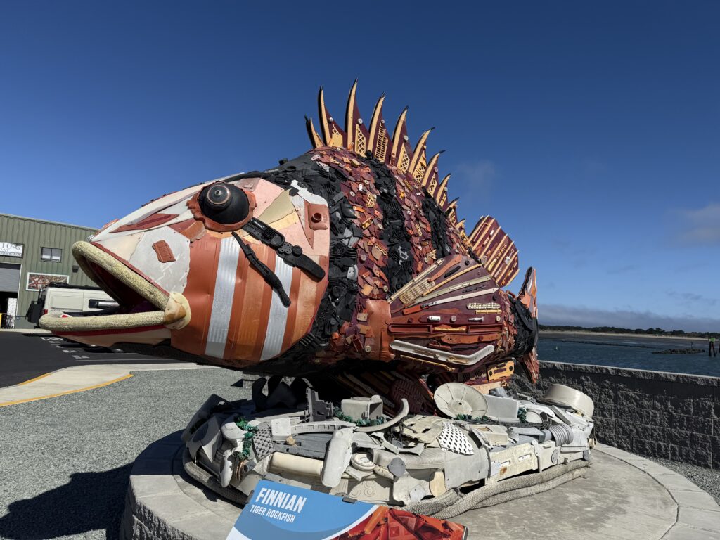 Rockfish statue made of trash